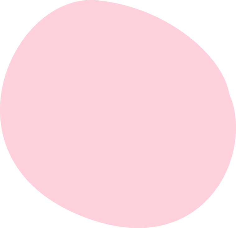 nuisibles dératisation désinsectisation punaises dératisation nuisibles dératisation désinsectisation punaises dératisation