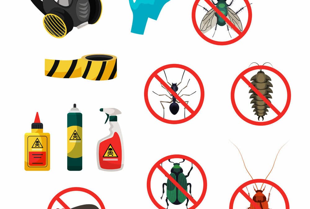 élminer rats souris insectes mite produits de traitement professionnel