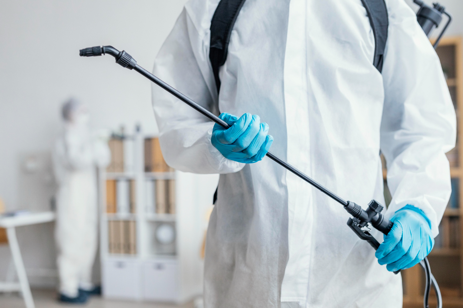 rongueurs insecte niveau d'insectation éliminer