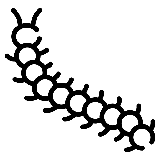 chenille processionnaire désinfection désinfestation