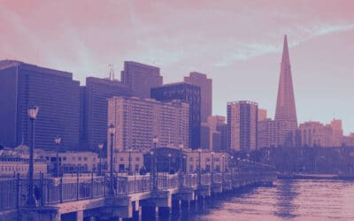 Traitement professionnel des insectes xylophages et charpentes à Paris & en Île-de-France