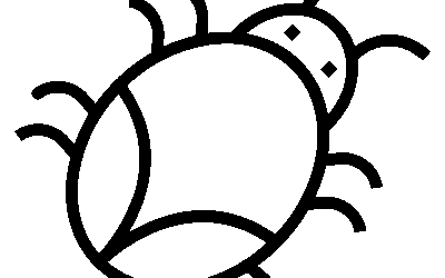 Détection tardive des insectes xylophages à Paris et en Île-de-France : comment éviter le pire